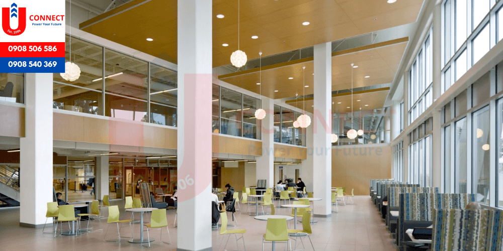 Đại học San Francisco State University, bang California – Mỹ